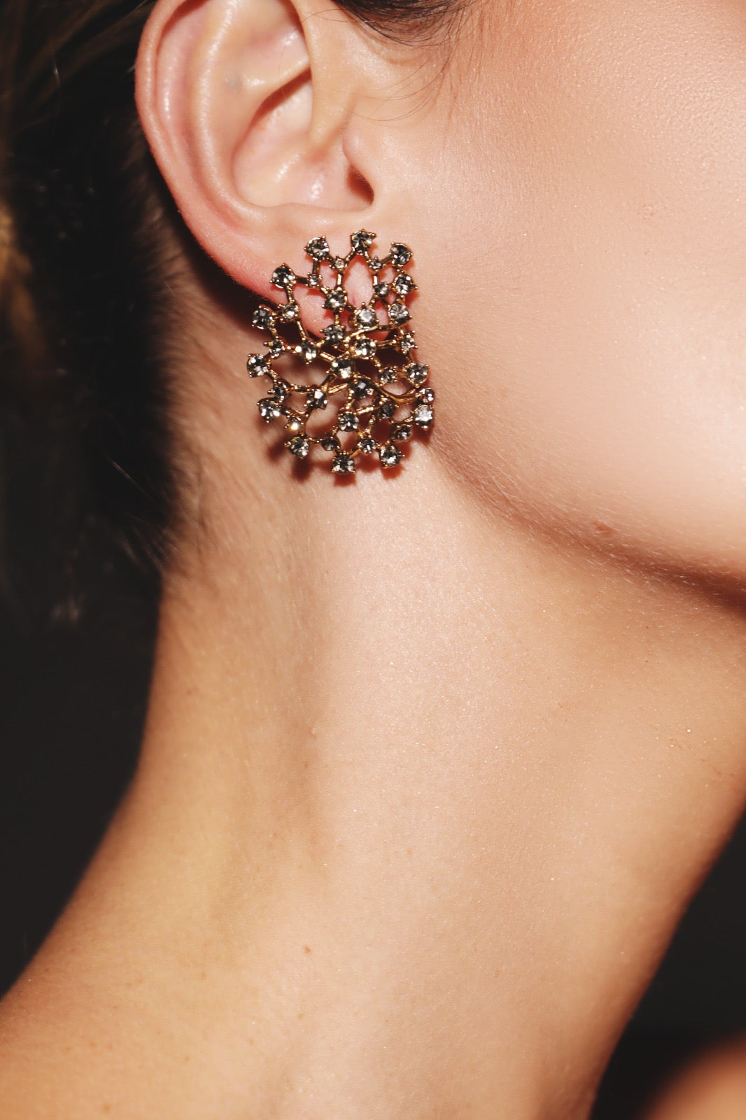 Luxury Earrings