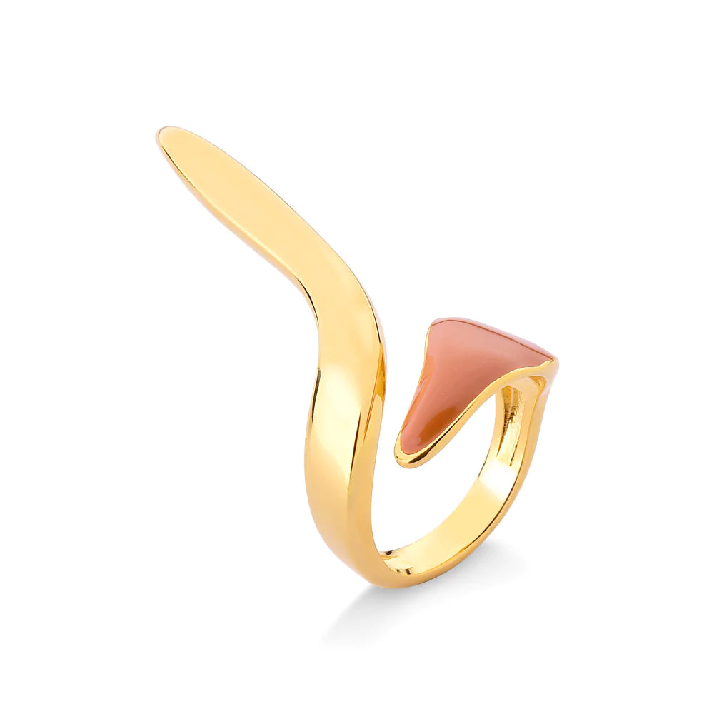 Guitar Ring