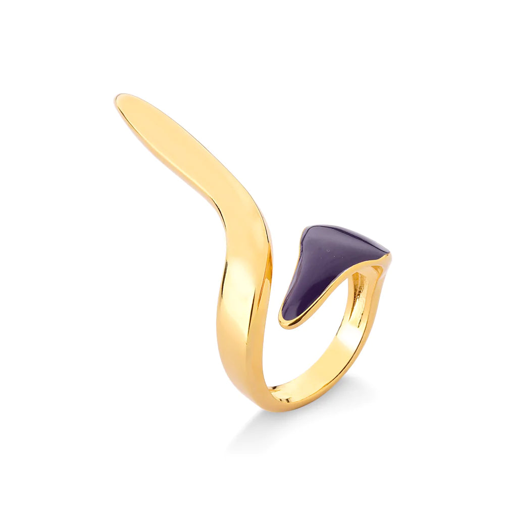 Guitar Ring