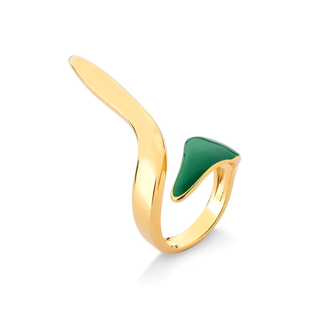 Guitar Ring